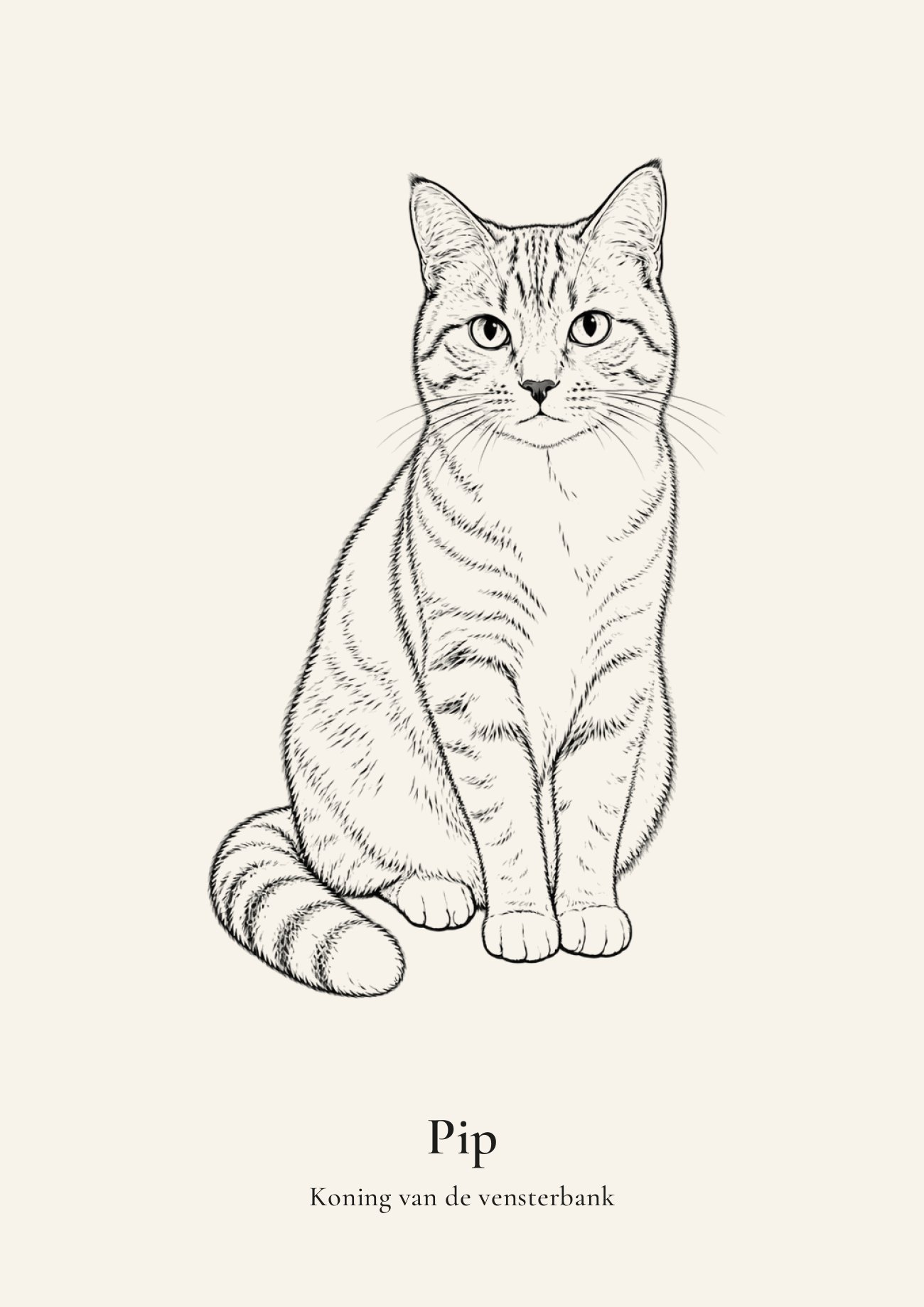 Huisdierportret van een rode kat met de tekst Pip