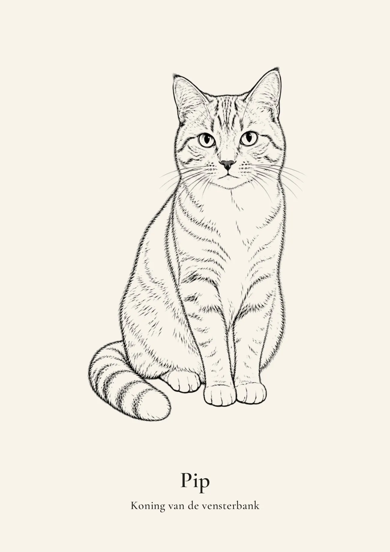 Huisdierportret van een rode kat met de tekst Pip