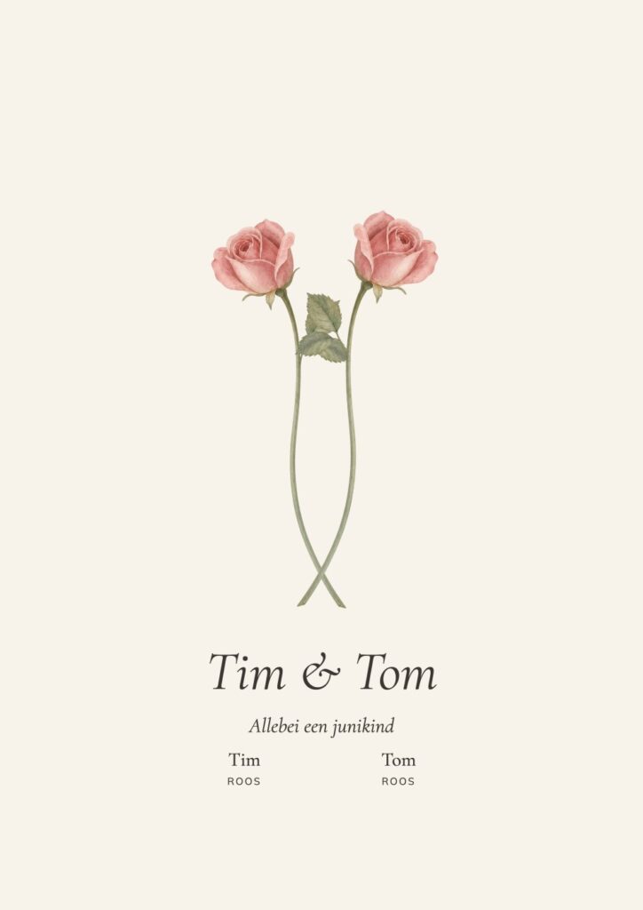 Bloemenportret met twee rozen, gespiegeld, voor Tim en Tom die allebei in juni jarig zijn